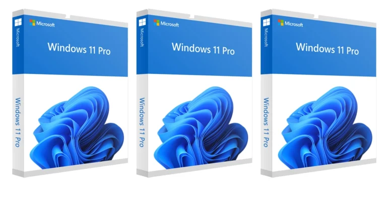 Windows 11 Pro License Deal